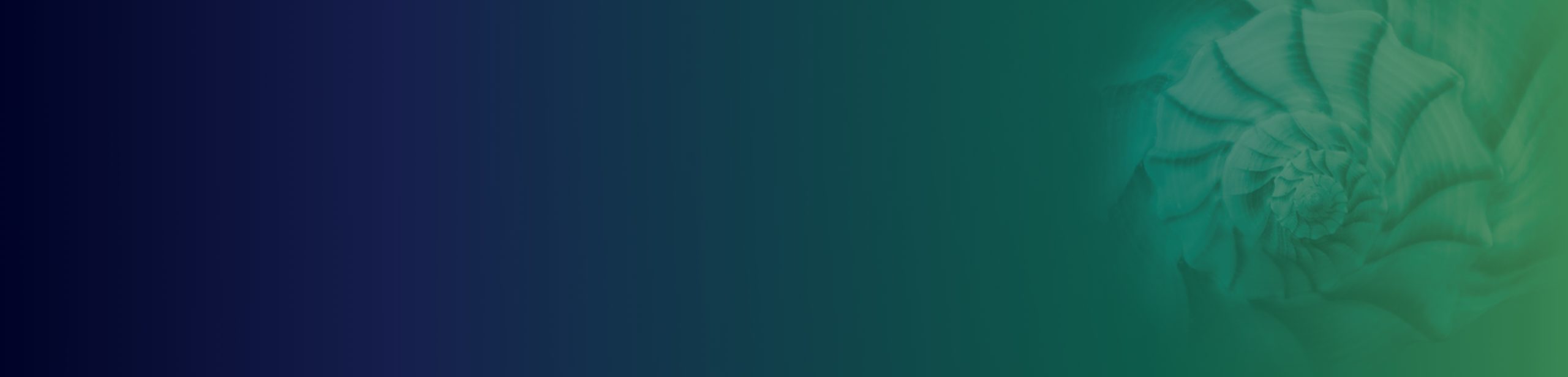 Application Managed Services (AMS) | Phi Partners